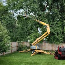 Best Artificial Turf Installation  in Portola, CA